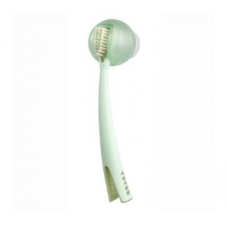 Brosse à dents 1er âge + Support