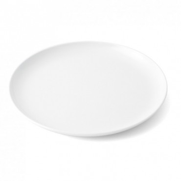 Assiette plate lot de 10