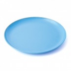 Assiette plate lot de 10