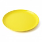 Assiette plate lot de 10