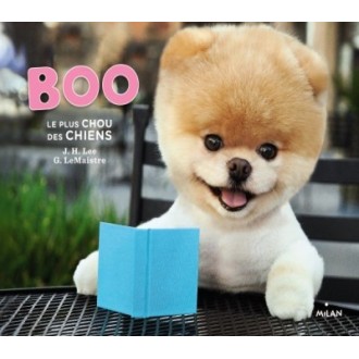 Boo, le plus chou des chiens