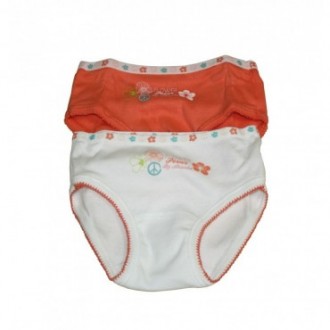 Lot de 2 Culottes Absorba Flower